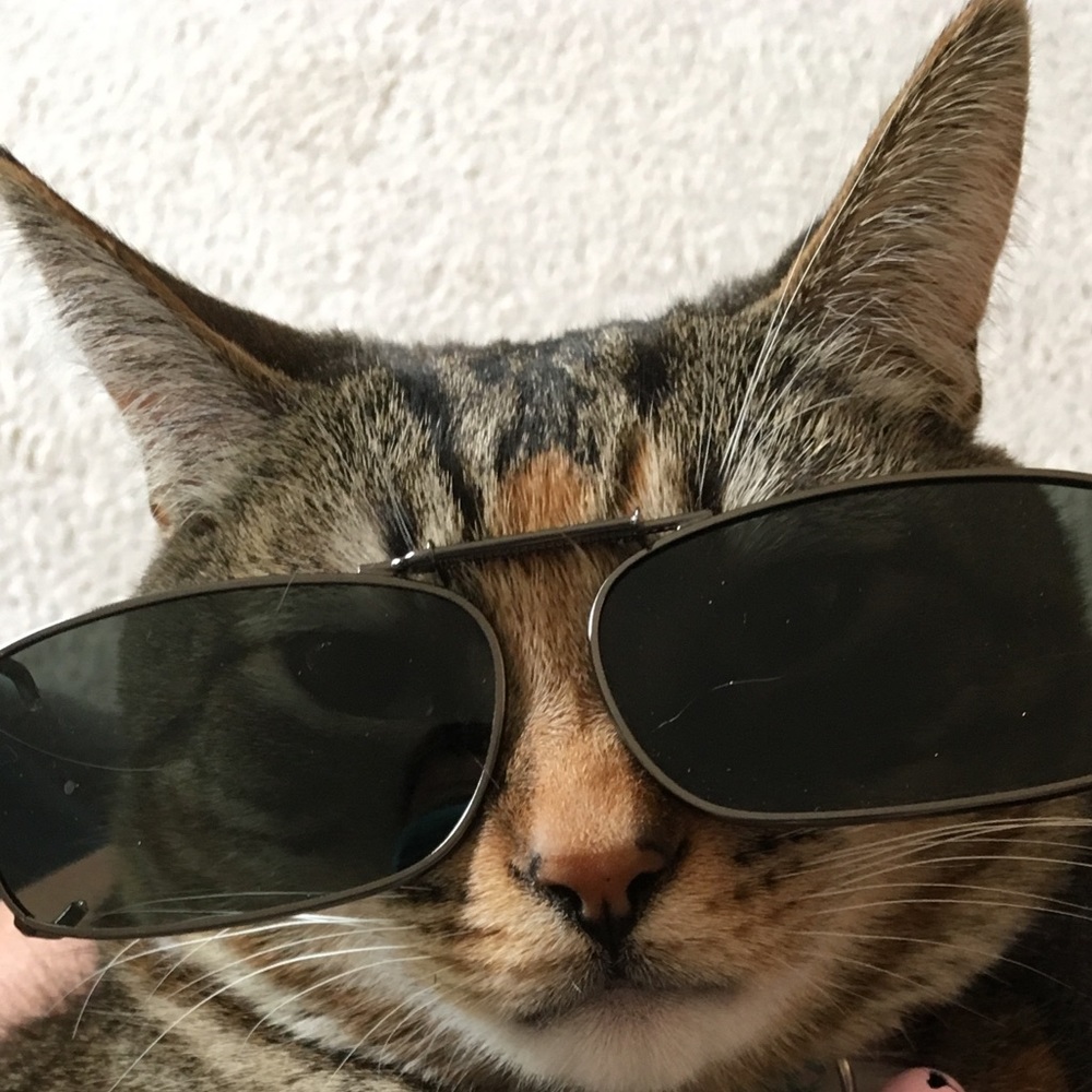 Meet your Posher, Denise